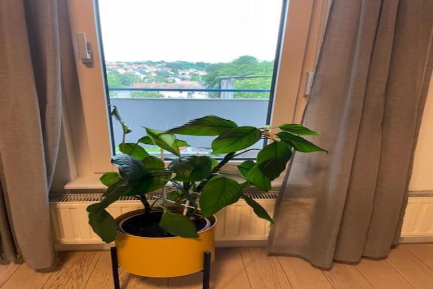 Modern & Charming - Free Private Parking - One Bedroom Apartment - foto 12