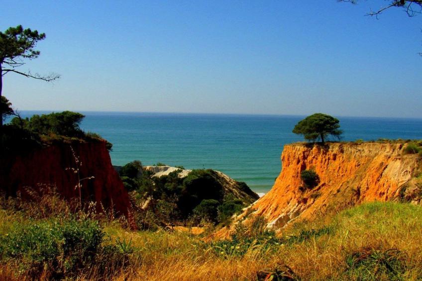 Ferienvilla mit Jacuzzi - foto 34