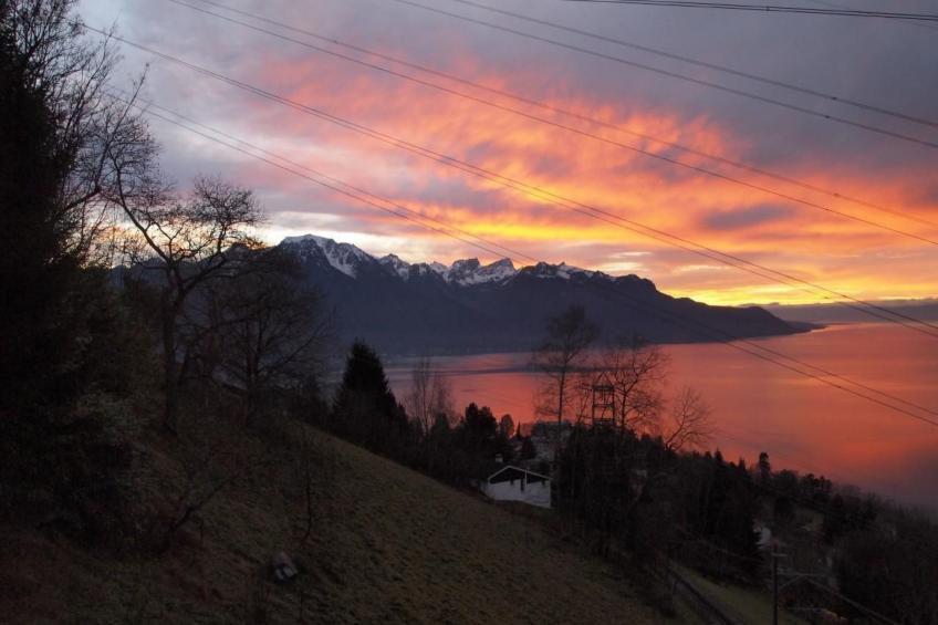 Gais Alpins - foto 11