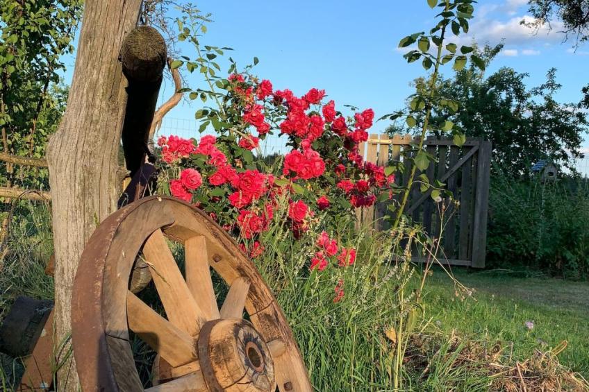 Kellerstöckl am veganen Bio-Lebenshof - Varm - the vegan Farm - foto 28