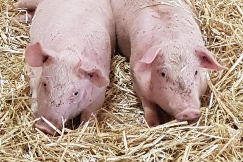 Chalet Staufenhof - foto 34