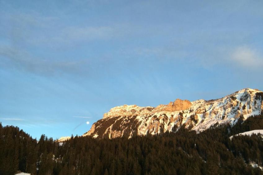 Chalet Muse - foto 30