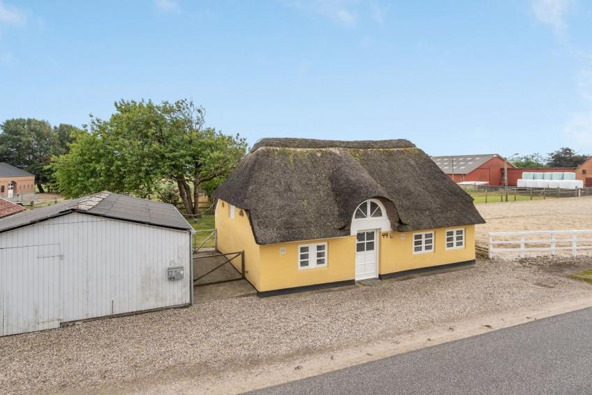 "Miko" - 19km from the sea in Western Jutland - foto 19
