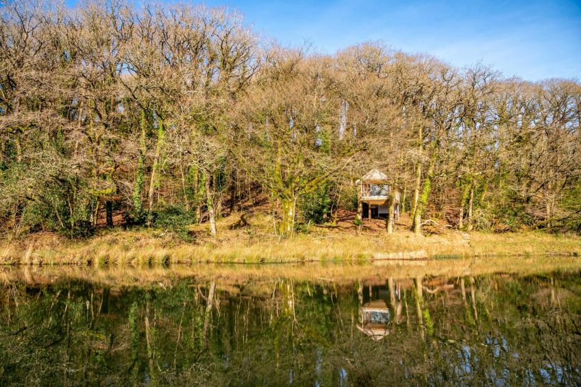 Yeworthy Eco-Treehouse - foto 18