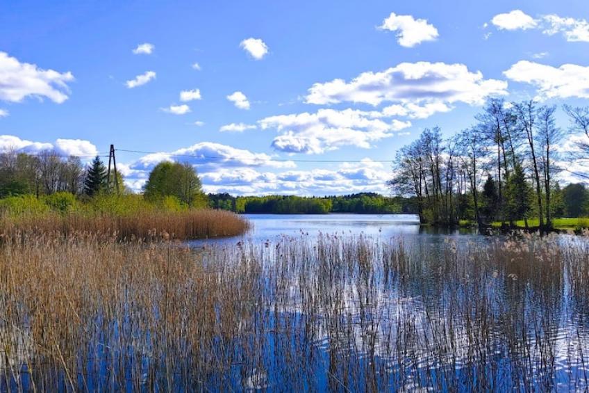 Appartementen, Rekowo - Type A - foto 18