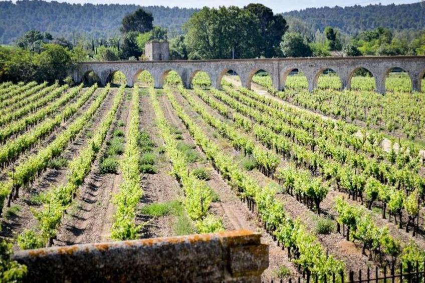 Résidence Le Château de Jouarres - foto 17