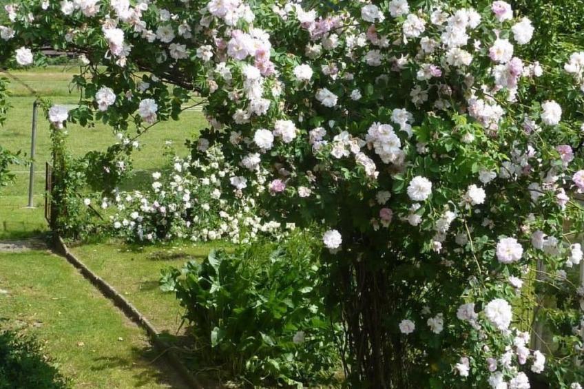 in Hasle-Rüegsau - foto 18