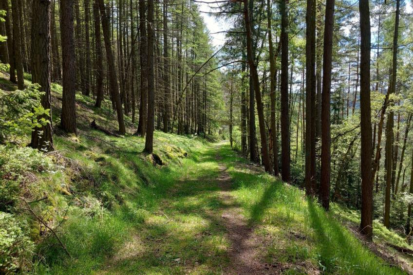 FH Panoramablick - foto 27