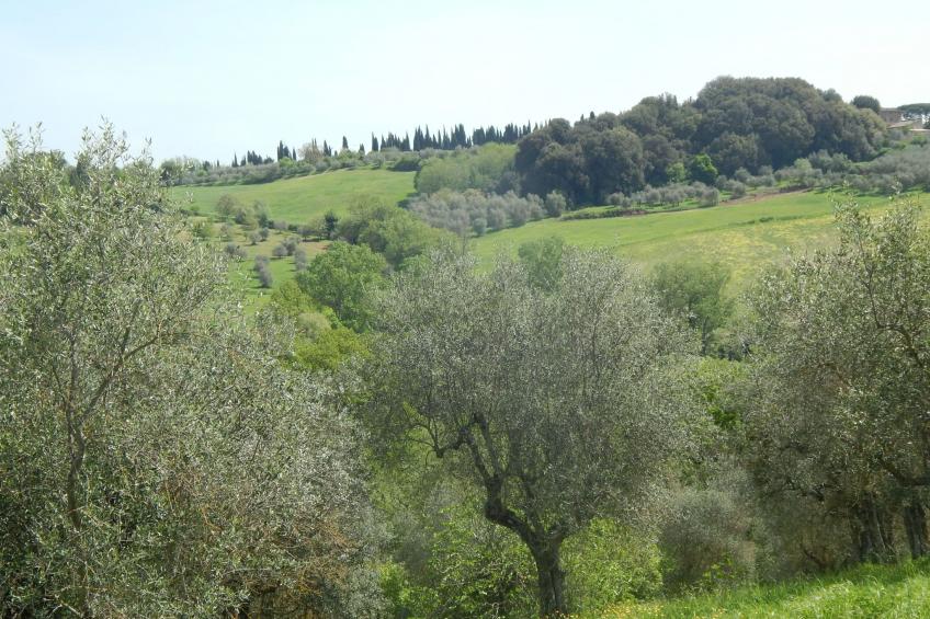 Wohnung auf dem Lande, 3 km vom Zentrum von Siena entfernt - foto 9