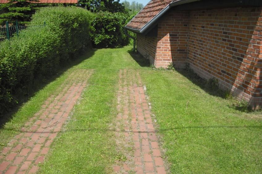 63649 - foto 2