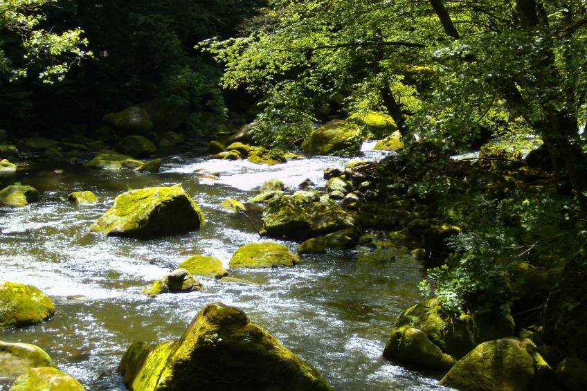 am Schäferhof - foto 34