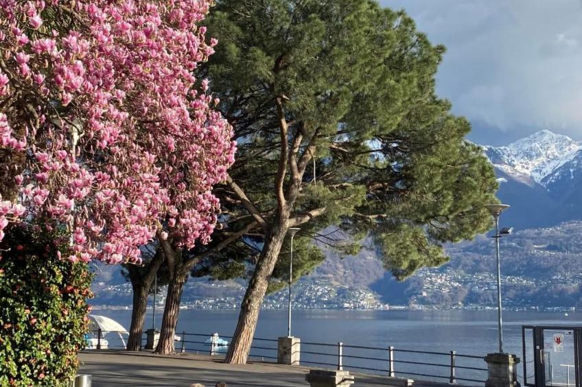 Panoramawohnung Orselina Locarno - foto 20