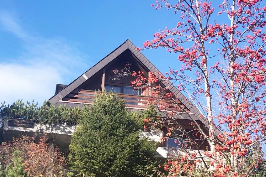 Haus DOMO, (Flumserberg Tannenboden), - foto 5