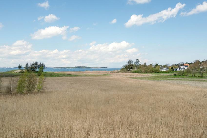 "Antti" - 350m from the sea in Funen - foto 25