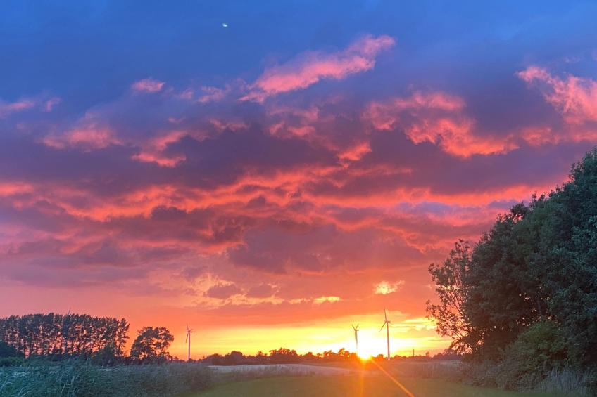 Altes Pastorenhus - foto 26