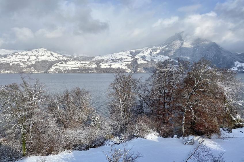 Seepark, direkt am See - foto 23