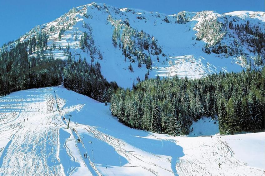 Almhütte Seebergalm - foto 26