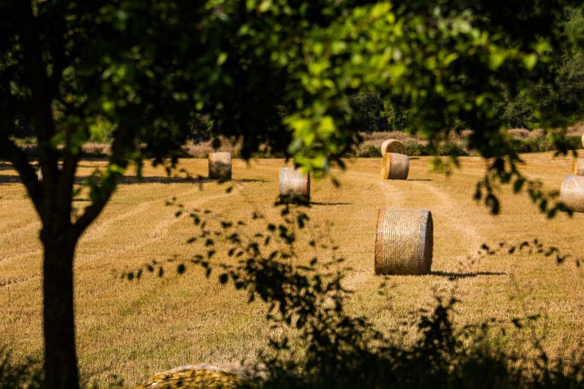 Wohnung "El Corral" mit Terrasse - foto 22