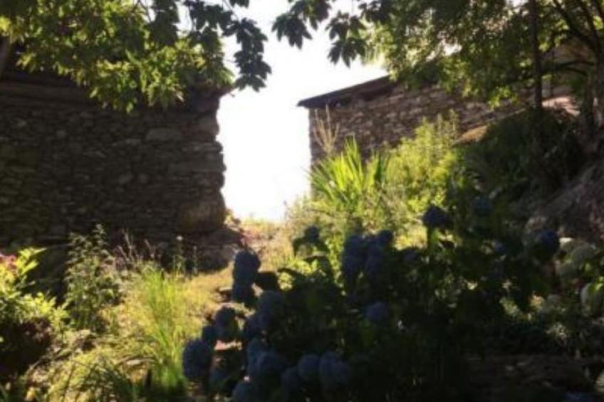 weg von der Zuvielisation - foto 5