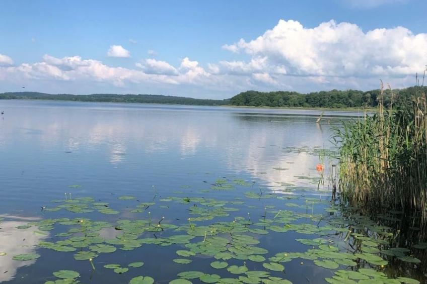 mit Sauna und Kaminofen - foto 30