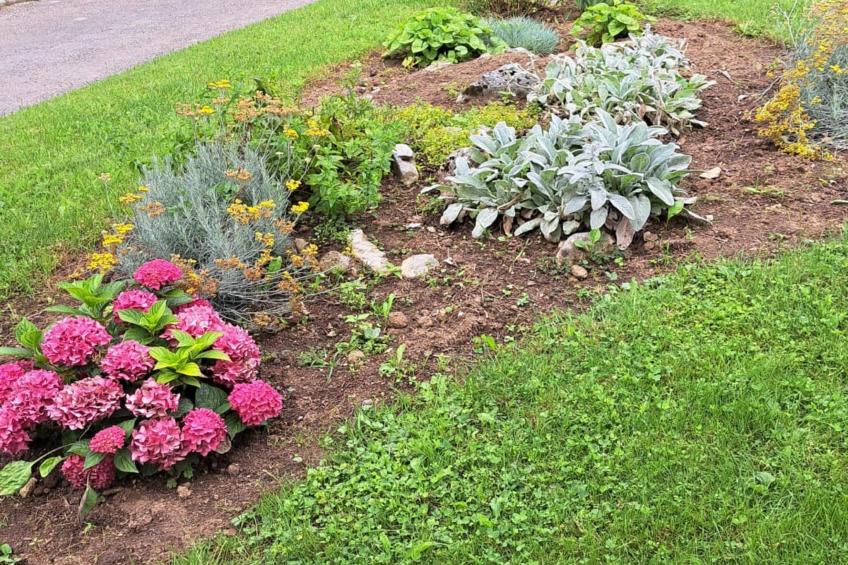 Guesthouse Žafran- Two Bedroom Apartment - foto 50