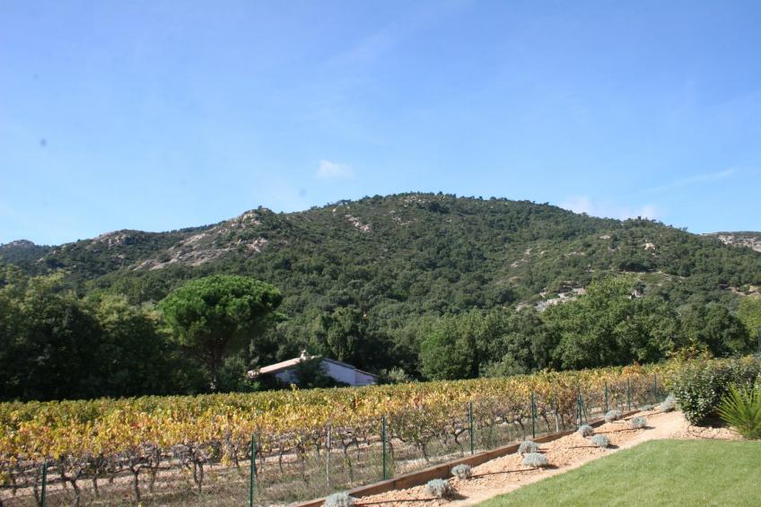 Villa d'Artagnan 6 personen - foto 21