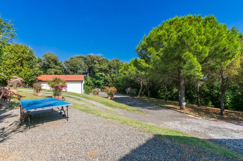 Podere gli Olivi - foto 32