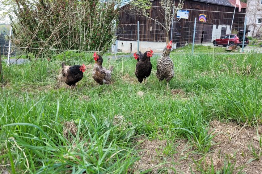 Fichtel-Pod gegen Aufpreis mit Sauna oder Hot Tub - foto 12