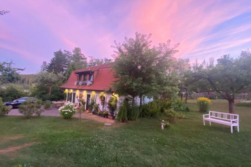 Geräumige Wohnung in Bad Elster mit Terrasse, Garten und Grill - foto 5