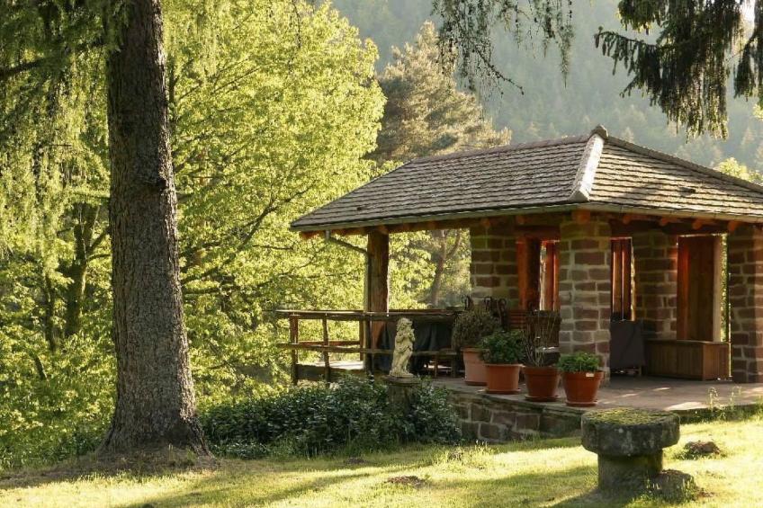 in Walscheid mit Terrasse, Grill - foto 46