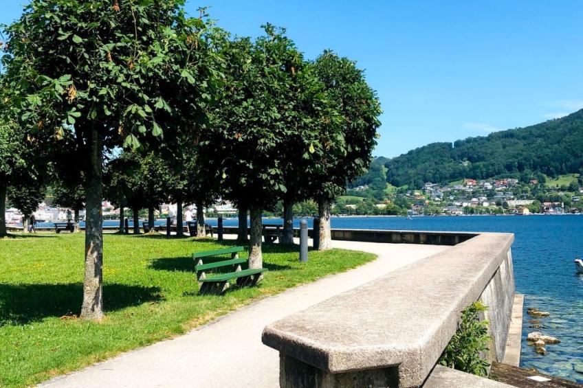 Studio in zentraler Lage - nur wenige Minuten zum See und Stadt - foto 3