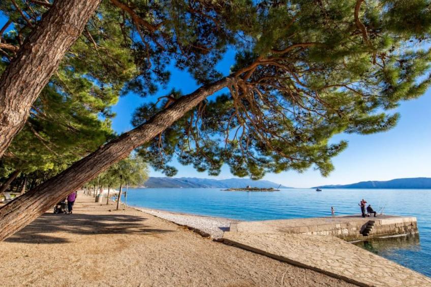 Wohnung "Zayml Povile" mit Blick auf das Wasser - foto 5