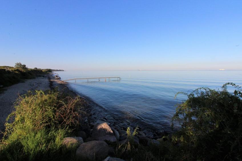 "Dana" - 525m from the sea in Funen - foto 61
