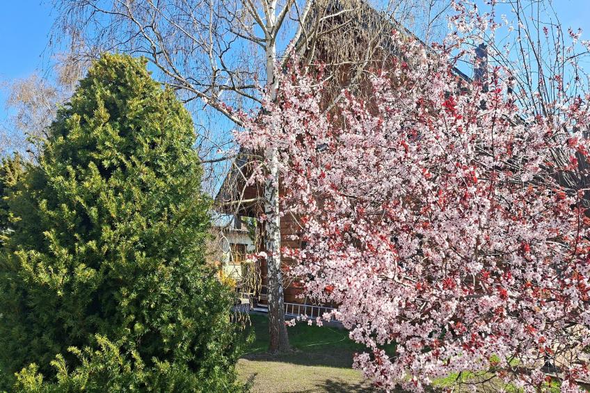 Ferienwohnung OG Staßfurt Schnittke - foto 26