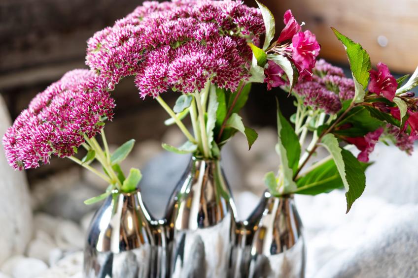 Ferienhaus Schwarzenegg (WAR200) - foto 20