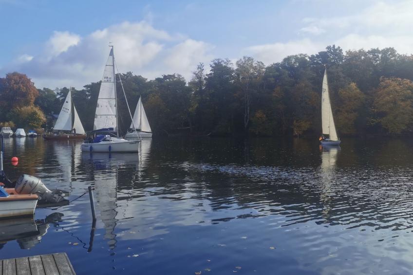 in Müggelheim mit eigener Terrasse - foto 35