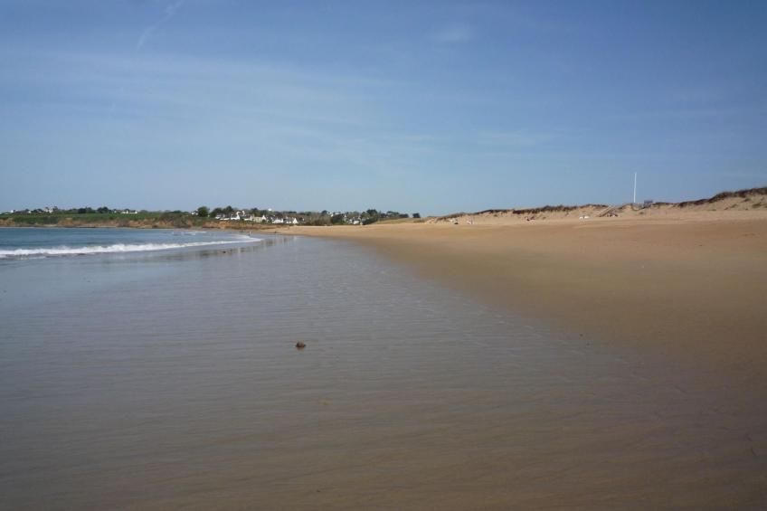 Eine kleine Oase der Ruhe am Meer - foto 11