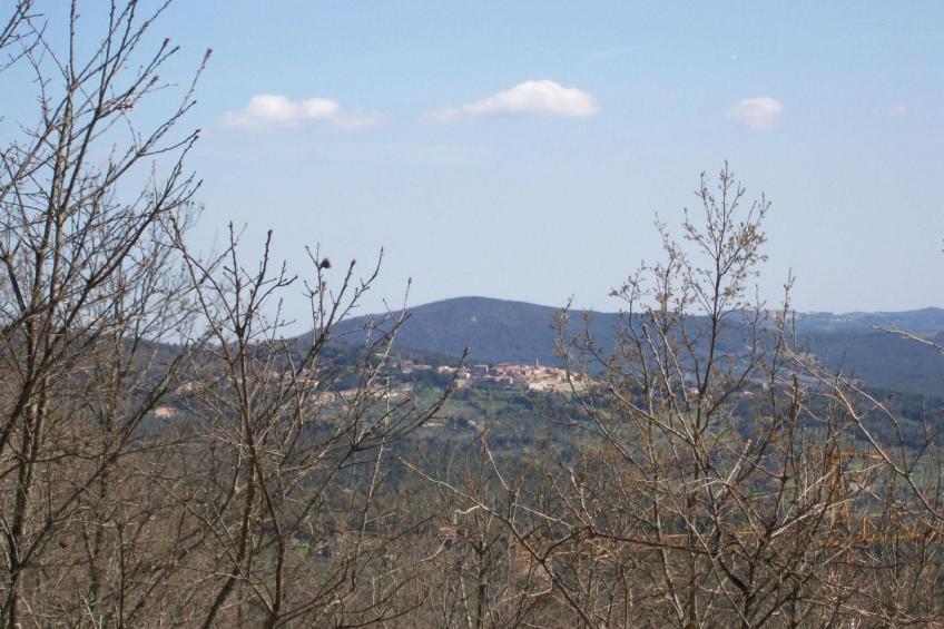 Komfortable und entspannende Wohnung - foto 21