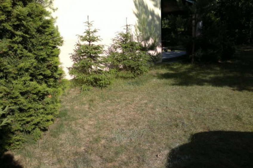 mit eingezäuntem Grundstück am Wasser - foto 7