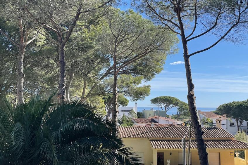 VILLA MIGJORN - foto 33