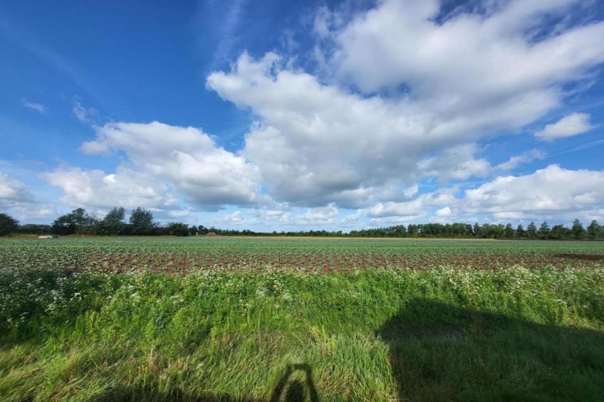 Kon Emmaweg 26 4354 NE Vrouwenpolder 4p - foto 35