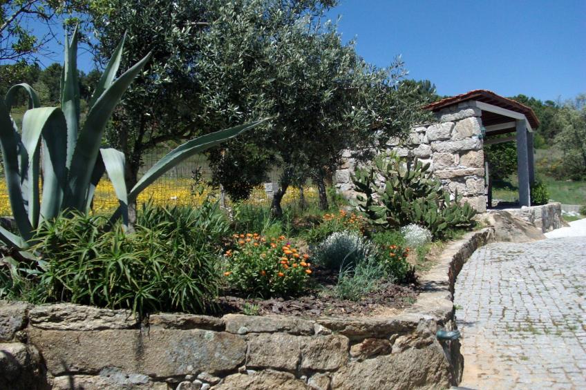 Ferien auf dem Bauernhof mit Weinberg - foto 20