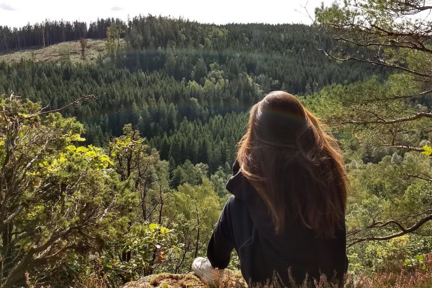 Schwedisches Glück, zwischen Wäldern und einem See - foto 65