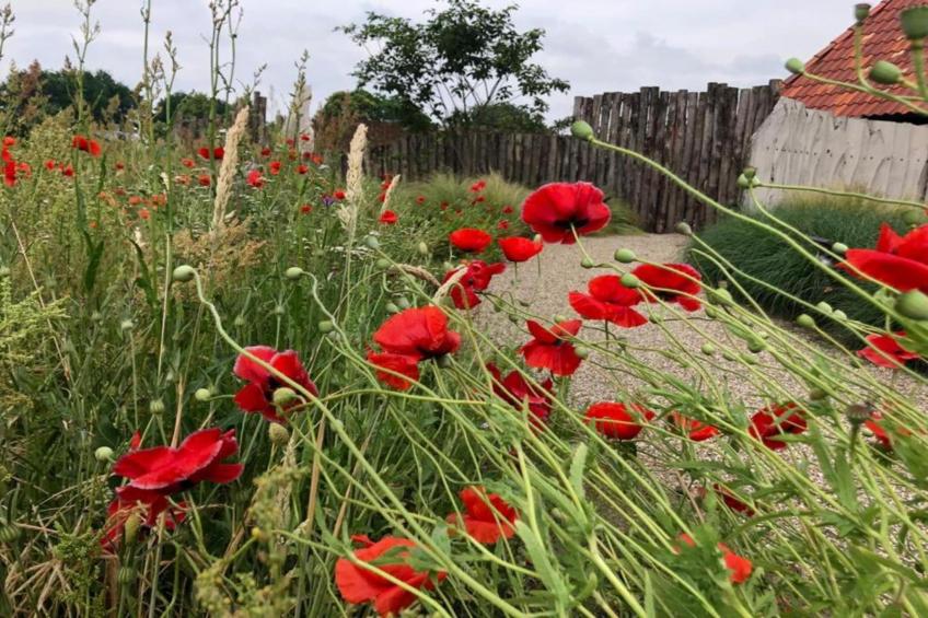 Vakantiepark Sandberghe 13 - foto 35