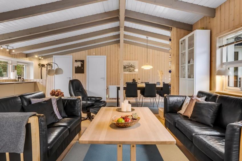 "Bia" - 250m from the sea in NE Jutland - foto 10