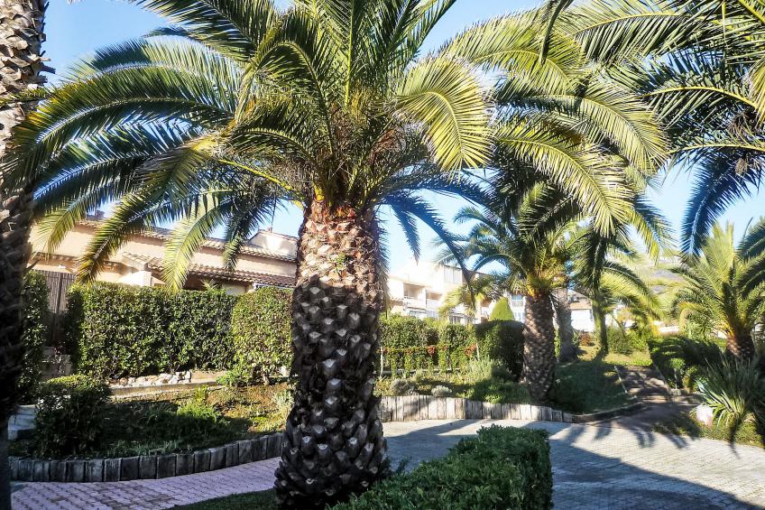 Le Jardin de Matisse - foto 20