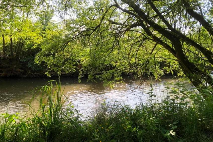 Le Fournil - foto 29