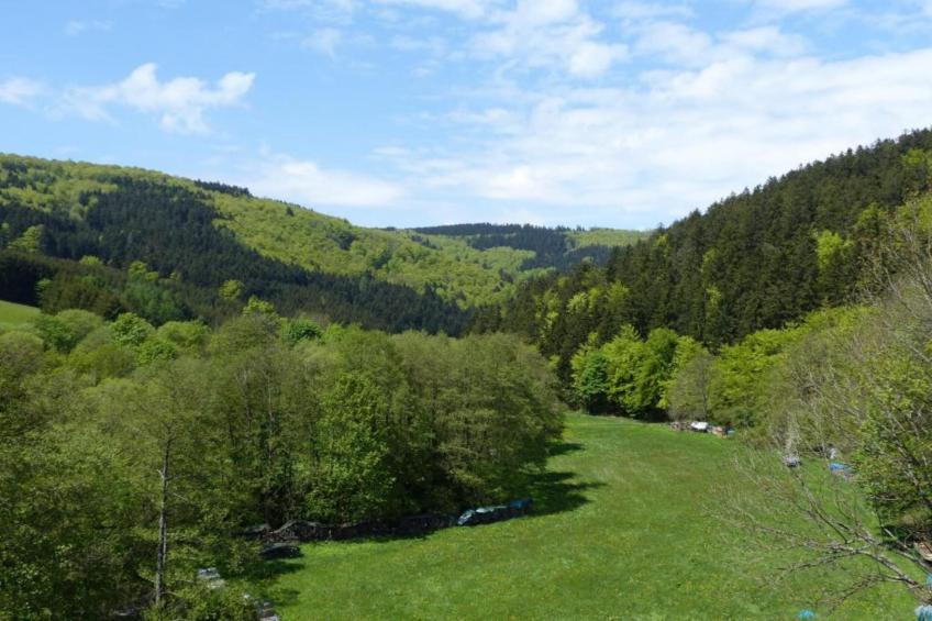 Appartement Willingen - foto 31