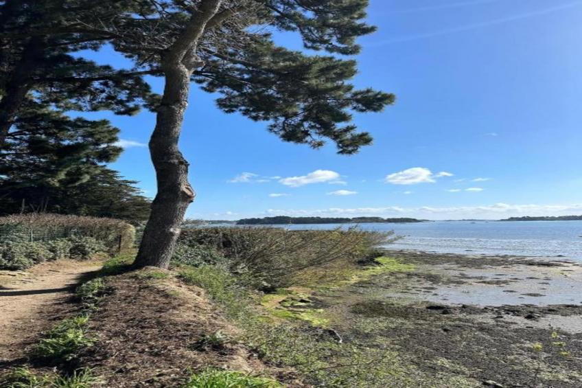 Les Iles du Morbihan - foto 24