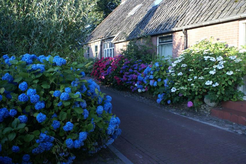 Geschmackvoll eingerichtetes Bauernhaus aus dem 19. - foto 13
